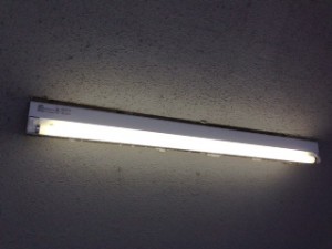 image (2)