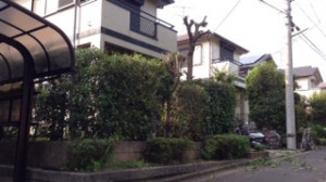 image (1)