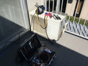 IMG_7061