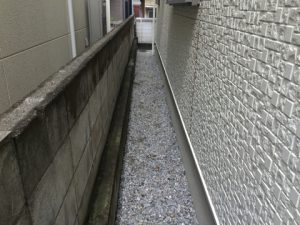 img_0288